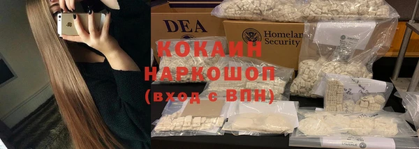 шишки Аркадак