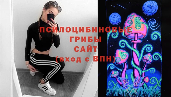 шишки Аркадак