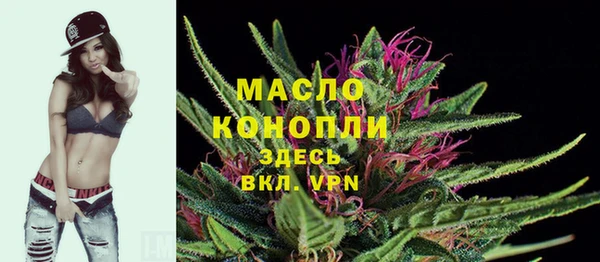 шишки Аркадак