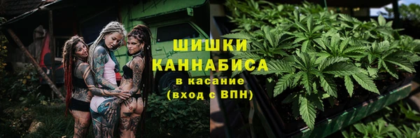 шишки Аркадак