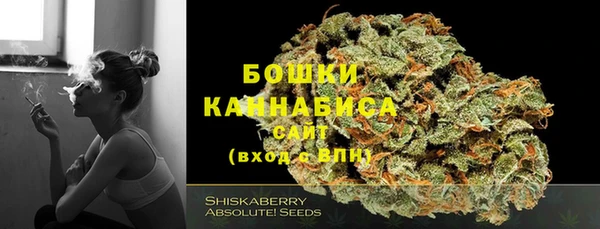 шишки Аркадак