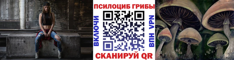 Псилоцибиновые грибы ЛСД Салаир
